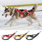 Buy Best Dog Strength Weighting Strap Online | I WANT THIS