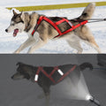 Dog Strength Weighting Strap