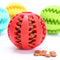 Tooth Cleaning Indestructible Food Ball